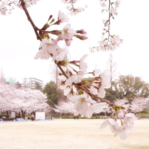 2013032901.jpg 2013032901