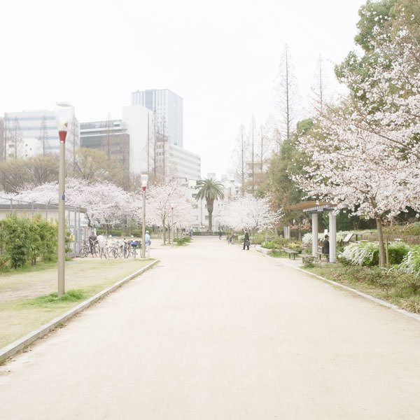 2013033001.jpg 2013033001