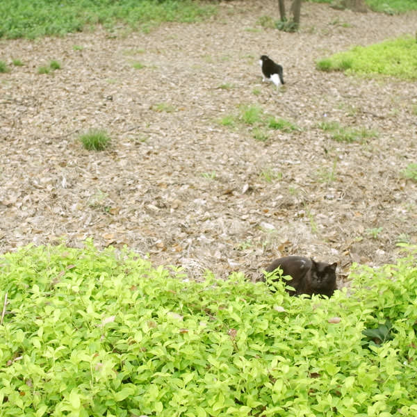 2013033002.jpg 2013033002