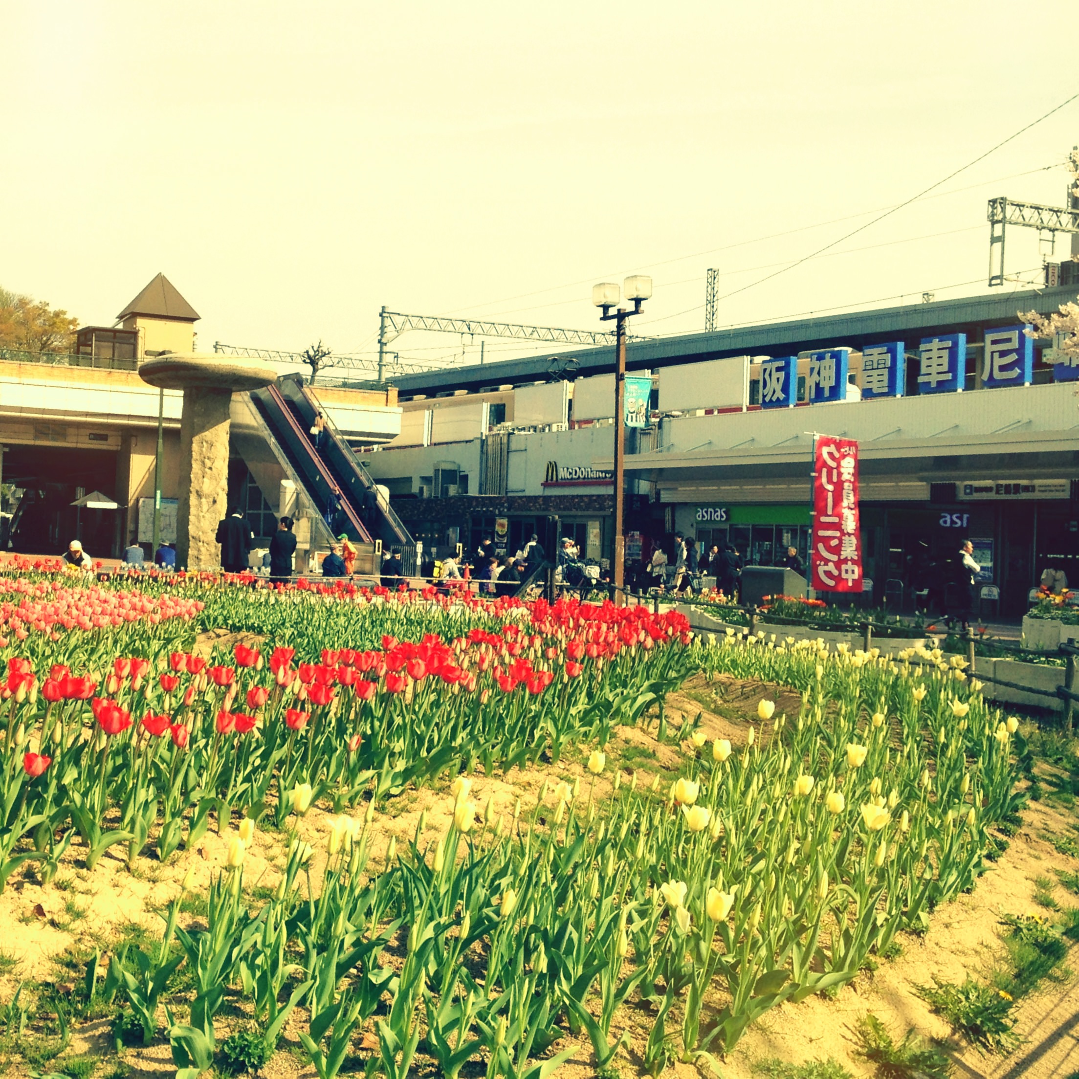 20130405.jpg 20130405