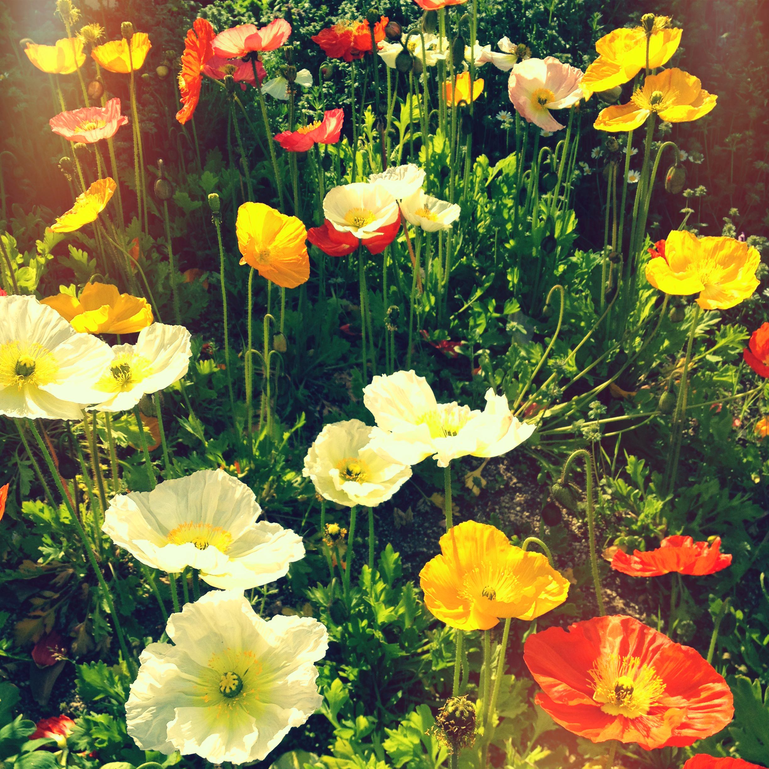 2013040502.jpg 2013040502