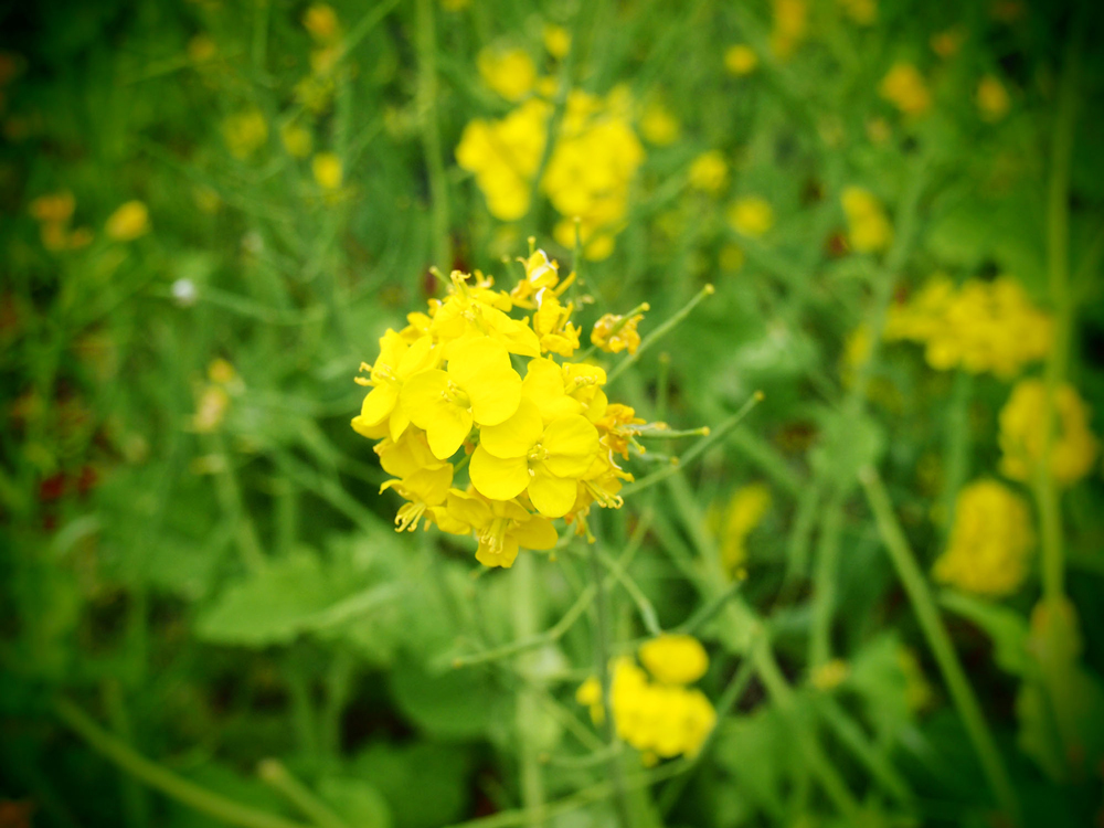 2016042403.jpg 2016042403