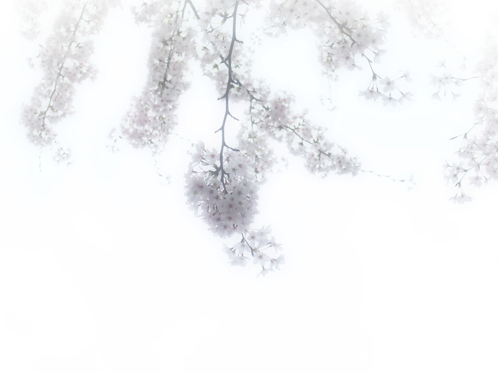 2016042405.jpg 2016042405