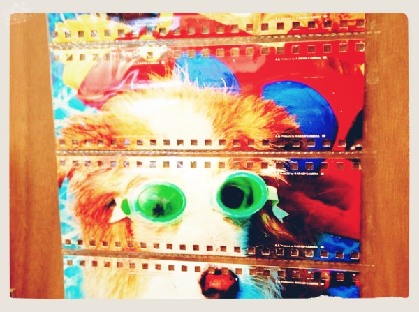 写真 12 06 13 21 16 18